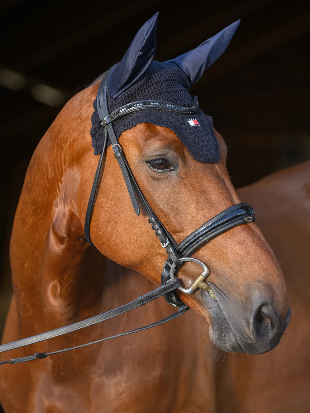 Tommy Hilfiger - Lexington Flughuva DESERT SKY