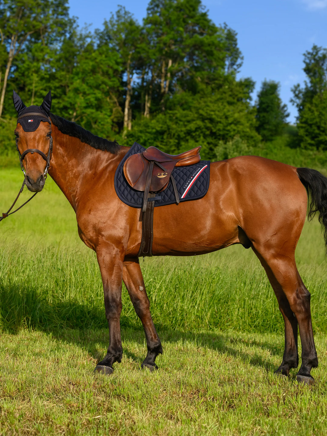 Tommy Hilfiger - Stanford Hoppschabrak DESERT SKY