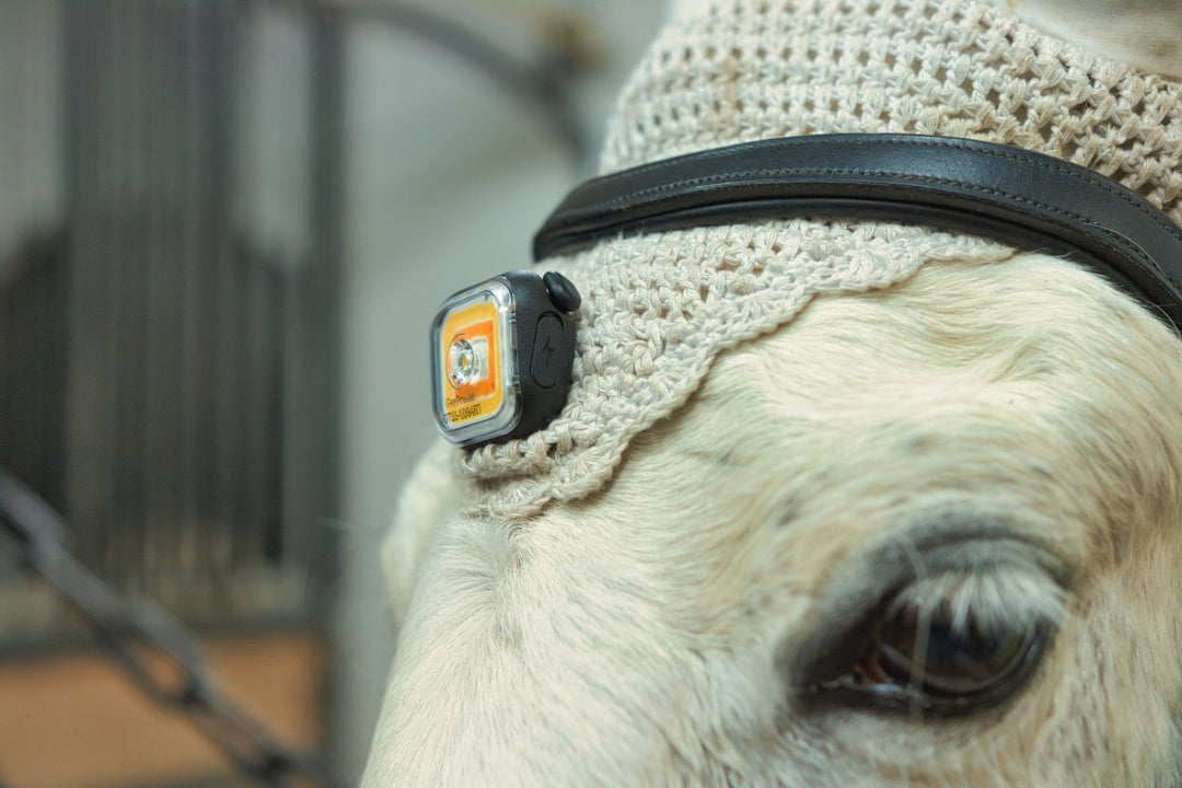 MEOLINQ Light01 – stark och pålitlig lampa med patenterat fästsystem