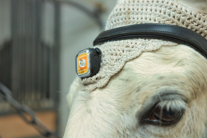 MEOLINQ Light01 – stark och pålitlig lampa med patenterat fästsystem